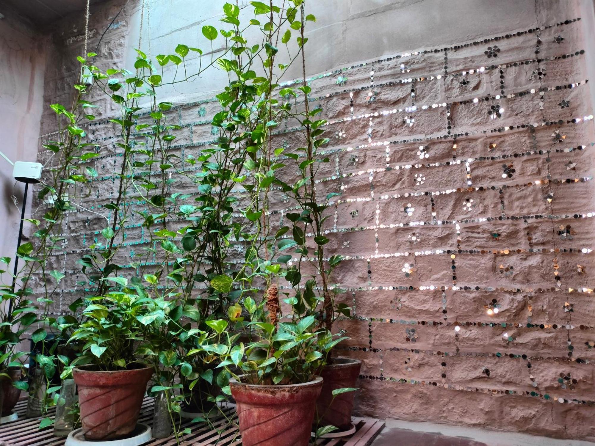 Casa De Jodhpur Hotel Jodhpur  Exterior photo
